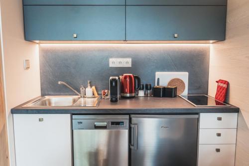 a small kitchen with a sink and a dishwasher at Hotel Kouty - Lesní Apartmány in Ledeč nad Sázavou
