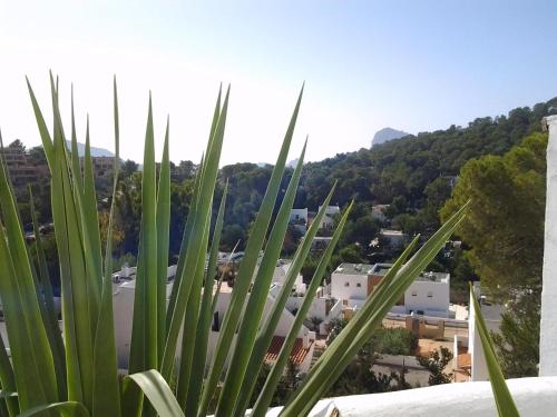 a view of a city from a plant at El Vaixell in Sant Josep de Sa Talaia