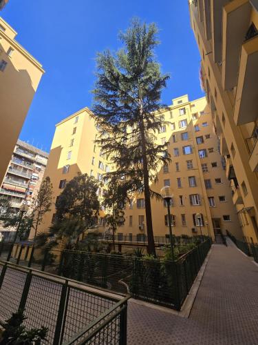 Angolo Romano photo 38