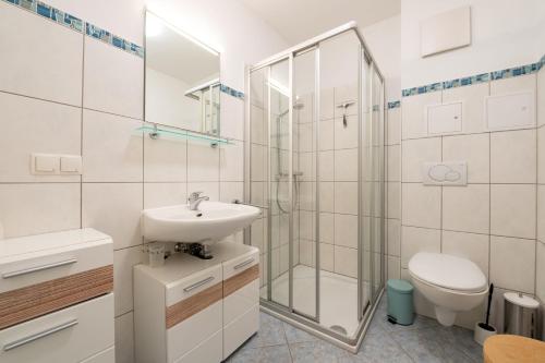 a bathroom with a shower and a sink and a toilet at Villa Mara Wohnung 3 in Baabe