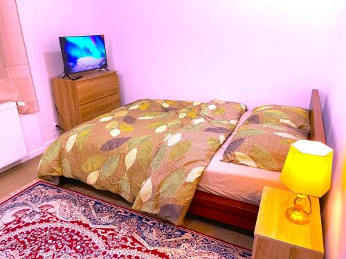 une chambre pas loin de paris et airport CDG