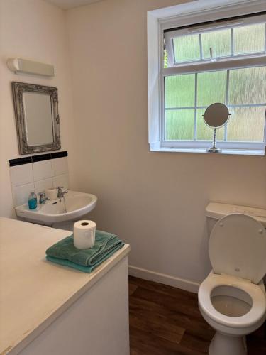 a bathroom with a toilet and a sink and a window at Symonds Yat West Holiday Cottage 8 WRC with views of Yat Rock in Symonds Yat