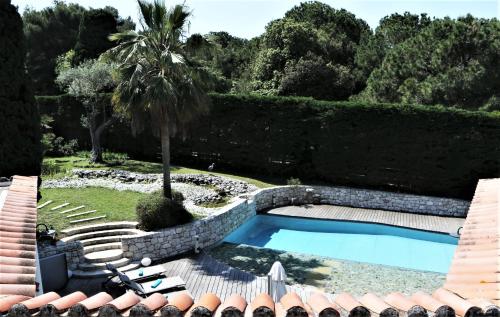 une piscine dans une cour avec un palmier dans l'établissement Villa Liza du Cap d'Antibes, à Antibes