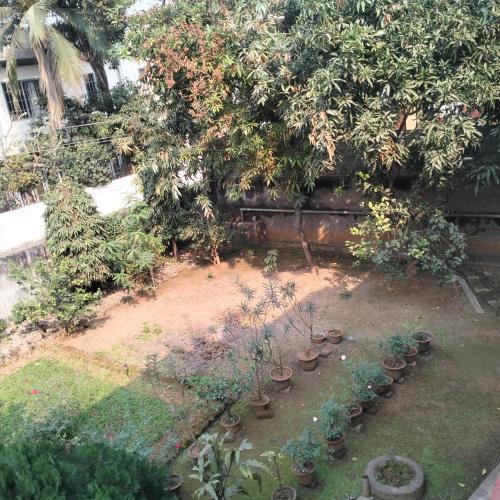 a garden with potted plants and a tree at The BIRD Nest in Guwahati