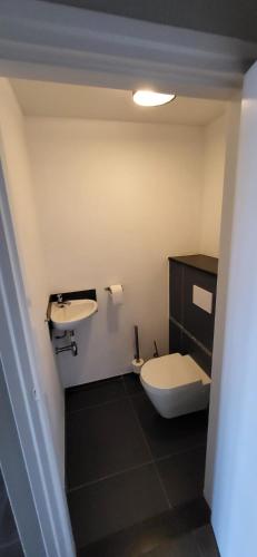 a bathroom with a toilet and a sink at Landhuis de heibloem in Heythuysen