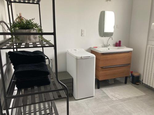a bathroom with a sink and a toilet and a mirror at Courthézon Entre vignes et Village, T2 indépendant in Courthézon