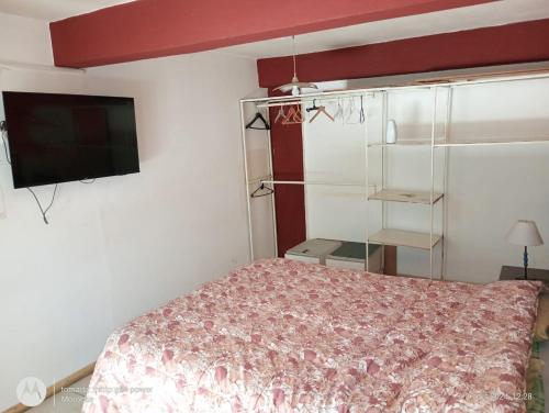 a bedroom with a bed and a flat screen tv at La Boca in Godoy Cruz