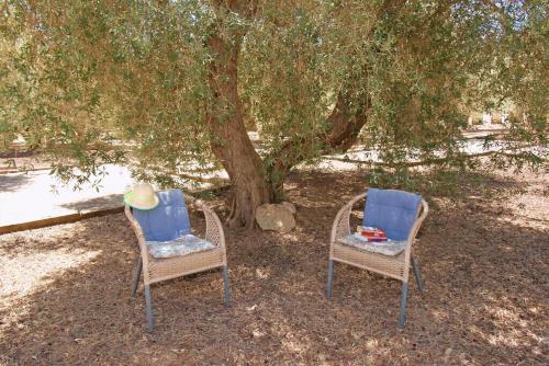 Taman di luar Casa The Lofties Mit Pool In Andalusien