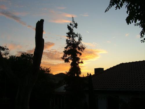 a silhouette of a statue and a tree at sunset at Gemütliches Ferienhaus In Fischbach Rhön in Kaltennordheim