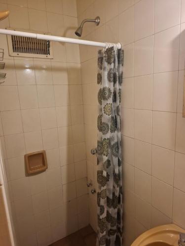 a bathroom with a shower curtain and a toilet at Elisa Posada Hotel in Córdoba