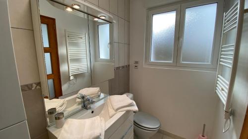 une salle de bain avec un lavabo et un miroir et des toilettes dans l'établissement Joli petit appartement sur les hauteurs de BRIVE, à Buissou