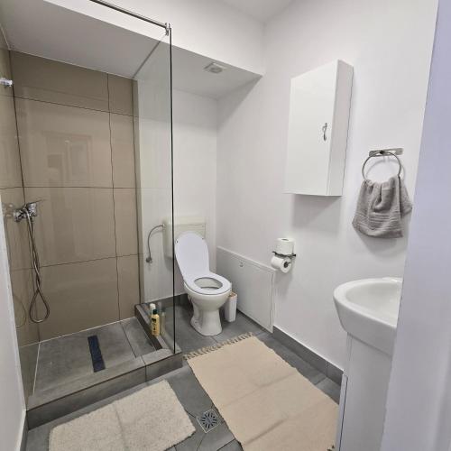 a bathroom with a shower and a toilet and a sink at MA DONNA rooms in Floreşti