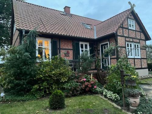 Zahrada ubytování Haus Elbrose Inmitten Von Rosen Mit Elbdeichzugang