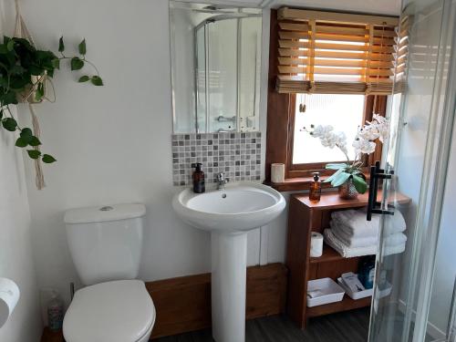 Overdale Guesthouse and Free Parking photo 73
