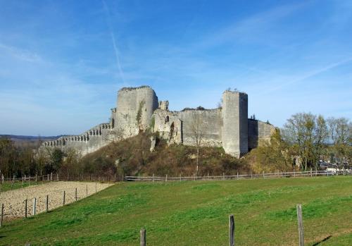 a castle on top of a hill with a field at Pierre in Montoire-sur-le-Loir