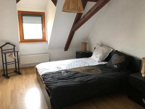 une chambre avec un lit dans une pièce avec une fenêtre dans l'établissement Duplex 4-6 pers Parking Jardin, à Obernai