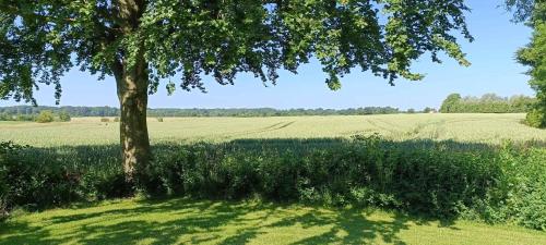 a tree in the middle of a field at Stay Comfortably In Scenic Surroundings in Ellerup
