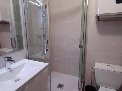 une salle de bain avec une douche, un lavabo et des toilettes dans l'établissement T1 au 2ème étage, proche établissement thermal, animaux acceptés - FR-1-571-11, à Balaruc-les-Bains