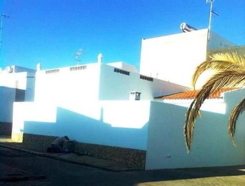 a white building with a palm tree in front of it at Casa Correia in Monte Gordo