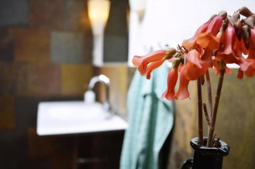 a flower in a vase next to a sink at Appartement Casa Hibisco Mit Schönem Garten in Uga