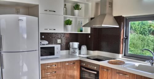 Кухня или мини-кухня в Geräumiges Ferienhaus In Mithimna Mit Eigenem Pool
