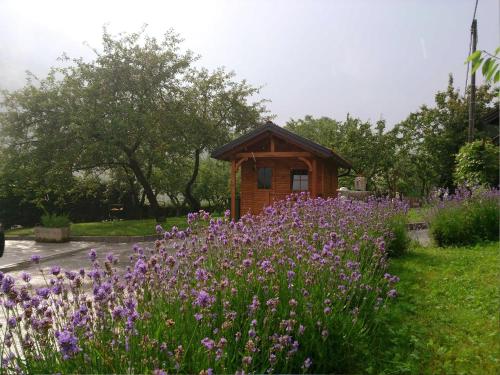 O grădină în afara Ferienwohnung Mit Eigener Sonnenterrasse