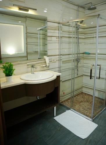 a bathroom with a sink and a shower at Doanesia Premium Hotel & Spa in Tirana