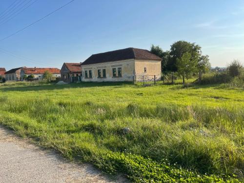an old house in a field next to a road at Logie By Dedes in Birchiş