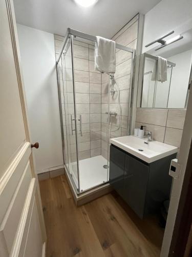une salle de bain avec douche et lavabo dans l'établissement Appartment Doutre Terrasse- 2ch, à Angers