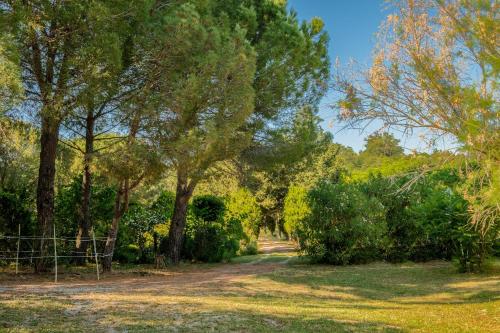 a path through a park with trees and grass at Stella Nord Podere Carbone in Grosseto