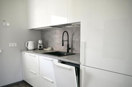 a kitchen with a sink and a white refrigerator at Kintų Perlas Villa 4B in Kintai