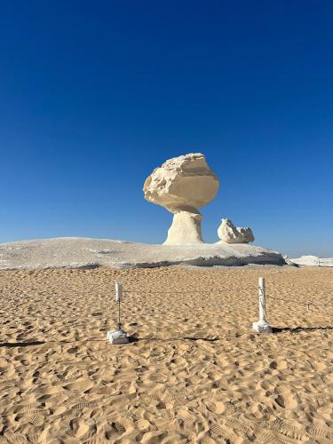 White Desert Safari With Camping