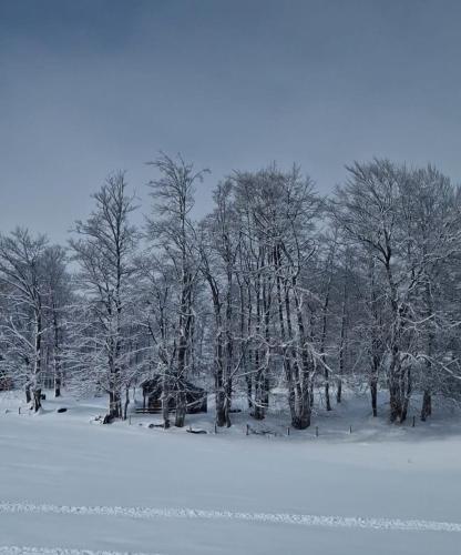 GUEST HOUSE PRIVAL.CLUB durante el invierno
