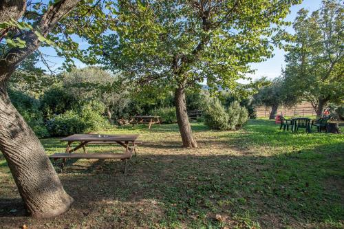 a picnic table in a park under some trees at Celestina- Agriturismo La Valentina in Talamone