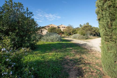a dirt road with trees and a house in the background at Celestina- Agriturismo La Valentina in Talamone