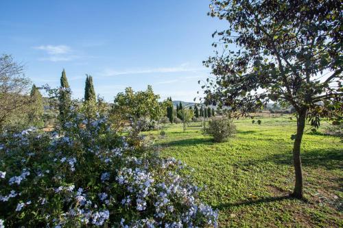 a park with flowers and a tree in a field at Manuela - Agriturismo La Valentina in Talamone
