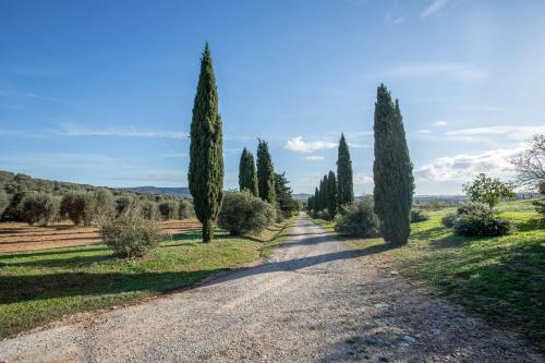a road with cypress trees on the sides at Manuela - Agriturismo La Valentina in Talamone