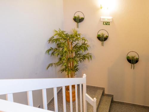 Fotografie z fotogalerie ubytování AL Restaurante A Lampreia v destinaci Santa Comba Dão