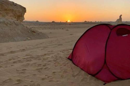 a pink tent sitting on the beach at sunset at White Desert Safari With Camping in Bawiti