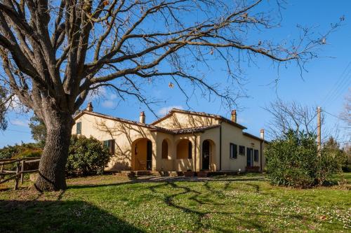 an old house with a tree in the yard at Rosaspina - Appartamento 4 in Capalbio