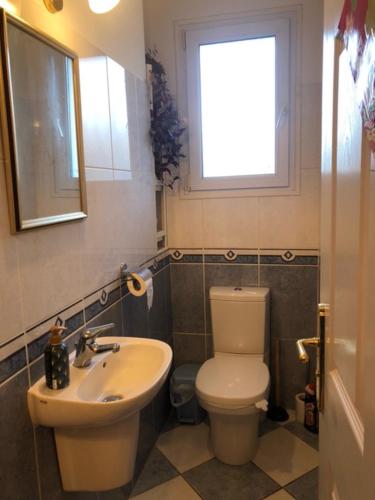 une salle de bain avec toilettes, lavabo et fenêtre dans l'établissement Sunset Ridge house in provence, à Pierrevert