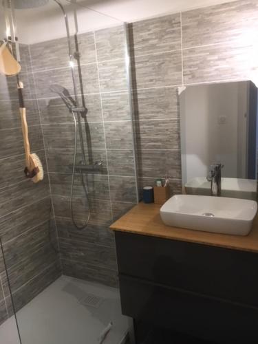 une salle de bain avec une douche, un lavabo et un miroir dans l'établissement Les Marines du Soleil à Saint-Florent, à Patrimonio