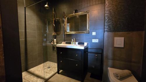 une salle de bain avec un lavabo et une douche dans l'établissement Le Pavillon de Chasse, à Muttersholtz