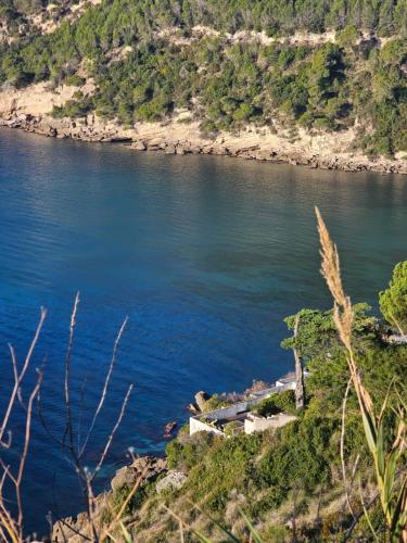 a view of a body of water with trees at Perla Di Mare in Minturno