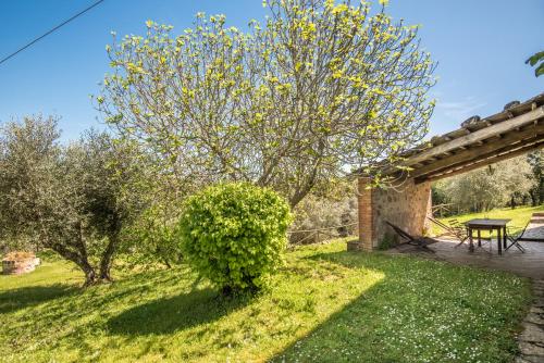 a garden with a table and a tree at Podere Montorgialino in Murlo