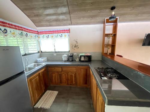 a kitchen with a sink and a stove top oven at Peace Home in Quepos near Beaches & Mountains in Savegre