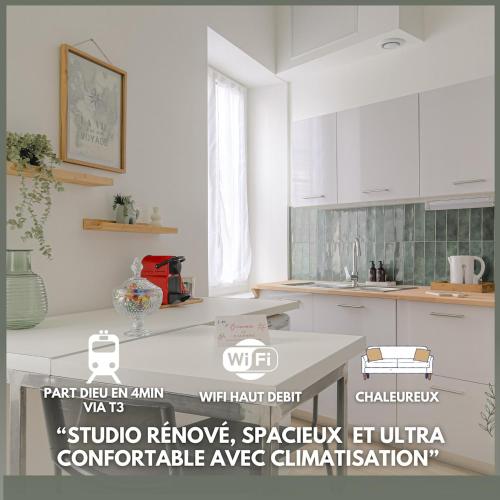 Le Dauphiné studio climatisé