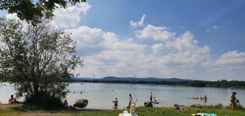a group of people in the water at a lake at Ferienwohnung Landblick in Homberg