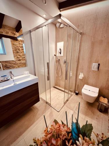a bathroom with a shower and a sink and a toilet at La Quinta Luxury Palace in Arnuero