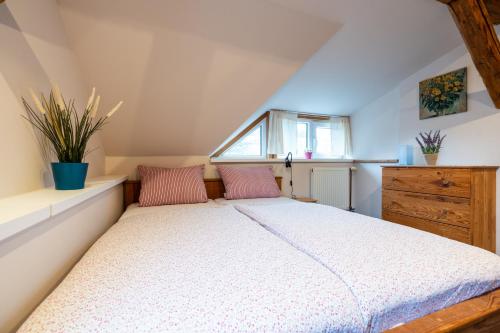 a bedroom with a bed with pink pillows and a window at Penzion Na Výšinkách, Jetřichovice, České Švýcarsko in Jetřichovice